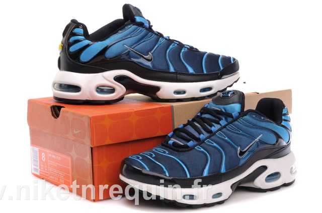 nike tn bleu 2010 (1).JPG